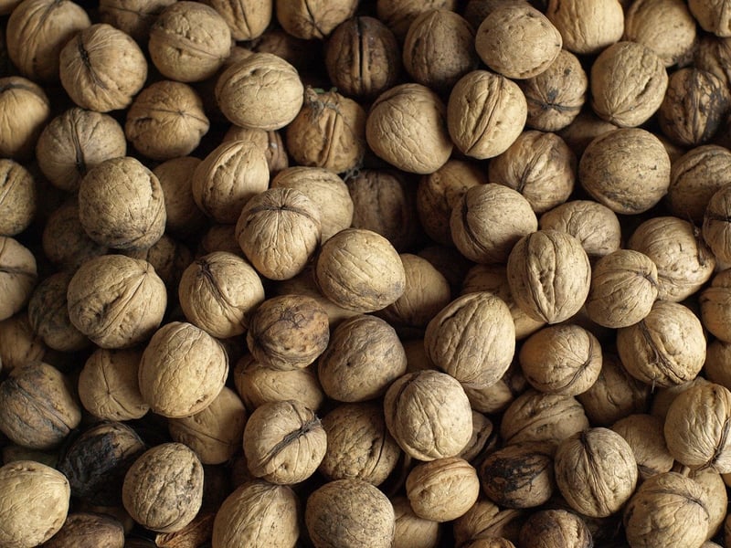 Nutrient Deficiency Signs